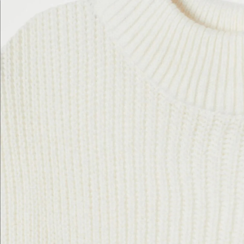 H&M Knit Mock-turtleneck  Sweater